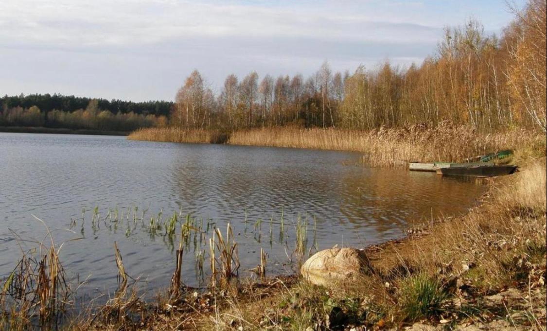 Apartamento Nad Jeziorem W Puszczy Zielonka Kaminsko